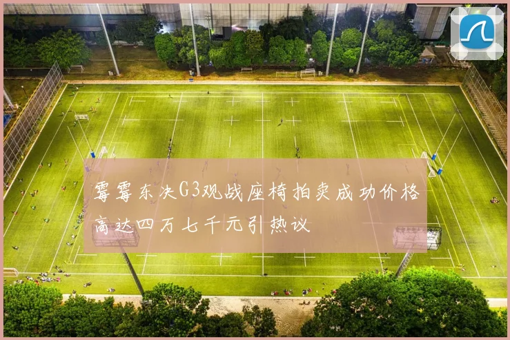 霉霉东决G3观战座椅拍卖成功价格高达四万七千元引热议